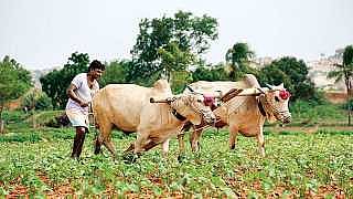 1farmers_.jpg