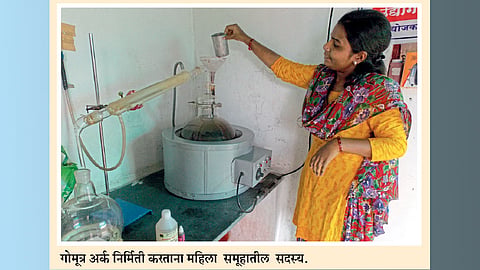 दुग्ध व्यवसायातून बचत  गटाने मिळविली बाजारपेठ