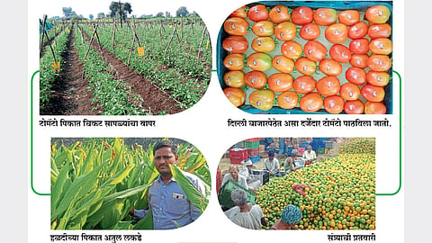 व्यासंगातून घडलेली बहुविध पिकांची शेती
