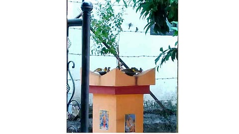 चिमण्या माझ्या सख्या 