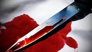 murder of mother and sister in paris