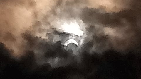 Cloudy Weather Affects Grape Crops Sangli Marathi News 