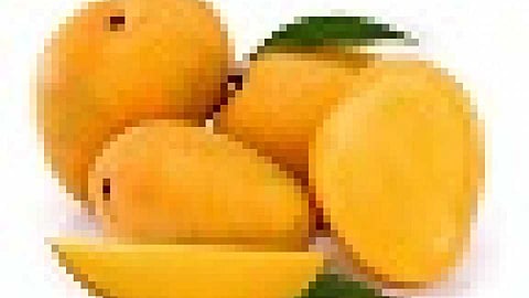 अनेकांना आवडत्या फळाचा स्वाद घेता आला नाही 