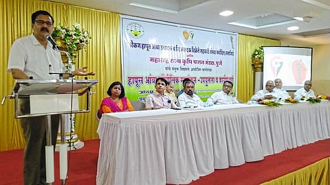 50 Percent Subsidy Scheme To Hike Hapus Export Ratnagiri Marathi News