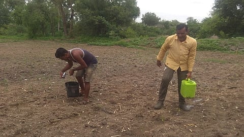 टेंभुर्णी : कपाशीच्या इवल्याशा रोपांना ग्लासभर पाणी टाकताना शेतकरी. 
