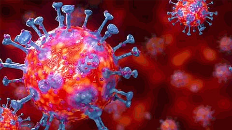 HIV+ महिलेच्या शरिरात 216 दिवस कोरोना; 32 वेळा झाला म्युटेट