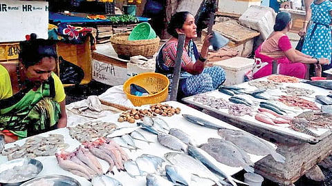 Government Public Package Only On Paper Women Fishmongers Deprived Of Help