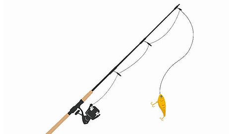 Know More About Angling Fishing Ratnagiri Marathi News 