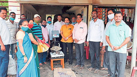 Cashw Nut Buying Starts In Janwali Society Sindhudurg Marathi News
