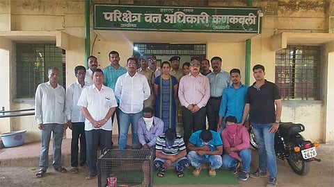 खवले मांजर तस्करी करणारी टोळी सिंधुदुर्गात ताब्यात