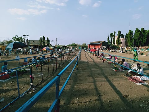 mohol apmc