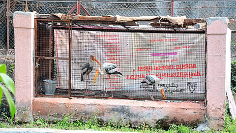 Aurangabad AMC Sidharth Zoo 