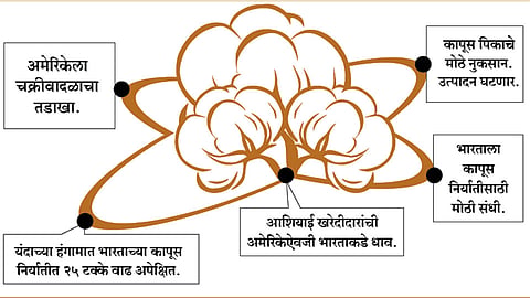 अमेरिकेतल्या वादळामुळे भारताच्या कापसाला `अच्छे दिन`