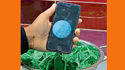 खाद्य, पाण्यातील जिवाणूंचा प्रादुर्भाव अोळखण्याची पद्धत विकसित