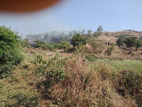 800 trees set on fire in Ambad in Akole taluka