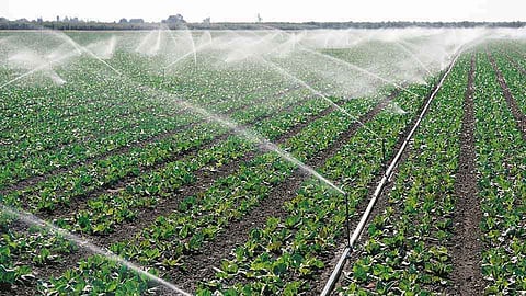 nashik rain