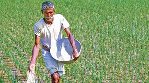 Agriculture