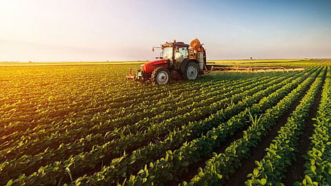 Agriculture