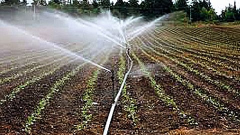Irrigation Scheme 521 beneficial farmers get 1 crore 65 lakh fund beed
