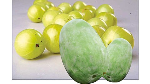 Amla