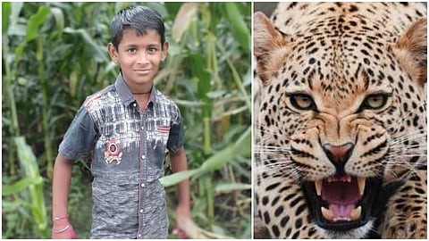 Aniket