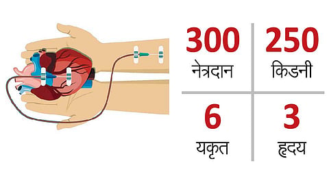 Body-Organ-Donate