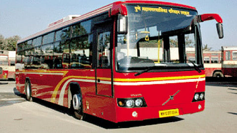 Bus
