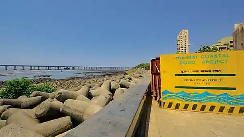 तर मुंबईचा विनाश होईल, समुद्रातील भरावास पर्यावरण प्रेमींचा विरोध