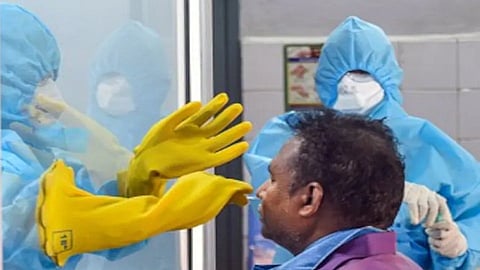 corona, coronavirus, Covid 19 deaths