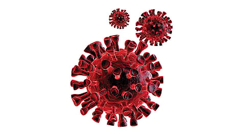 Coronavirus