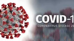 Covid