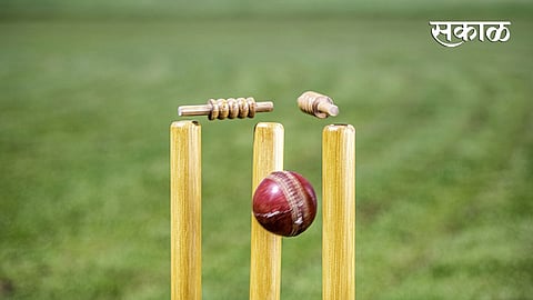 Cricket