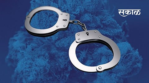 Crime_Ganja