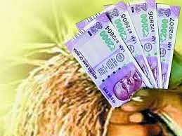 Three Thausand Five Hundread Crores Crop Loan Distributed In Marathwada Region 