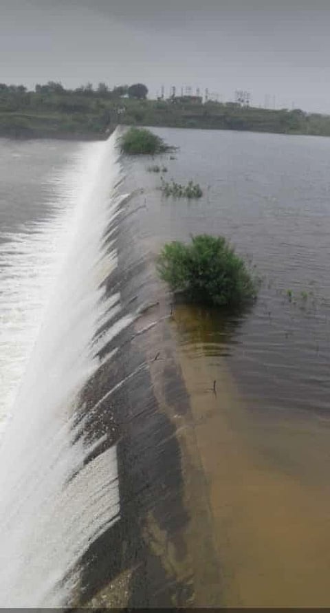 Dhale Pimpalgaon