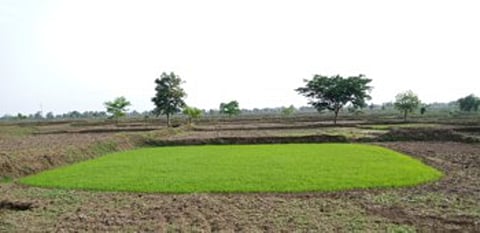 Dhan Parhe