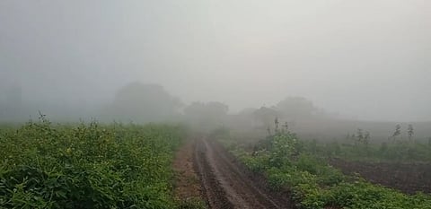 Farmers in Maharashtra in trouble again after torrential rains