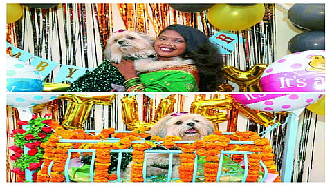 Dog's Baby Shower