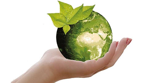 Environment