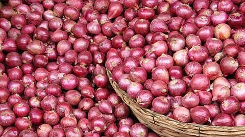 onion