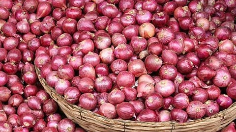 Summer onion
