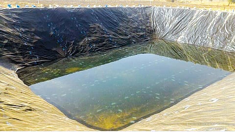 farm pond