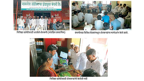 Farmer-Company