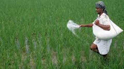 Fertilizer