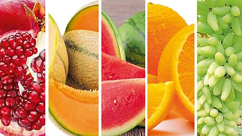 Fruit