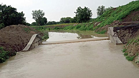 Need to focus on irrigation more to develop farming sector