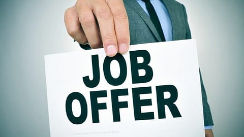 Job opportunities even in lockdown
