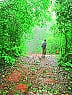 Stay in the wilderness .. But in the home of the rights ..