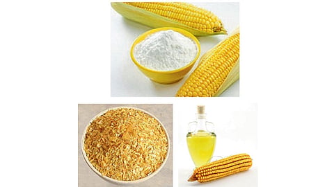 Maize