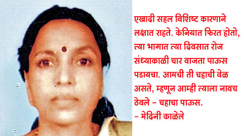 चहाचा पाऊस